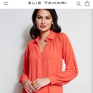 Elie Tahari beautiful blouse